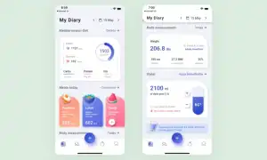 Что Делает Тринкет Флаттер в Разработке Приложений