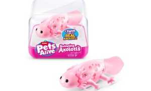 Где Покупать Игрушки Дешево и Удобно