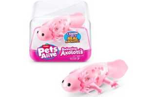 Где Покупать Игрушки Дешево и Удобно