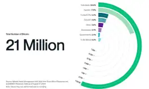 Сколько В Одном Блоке Биткоинов На Сегодня