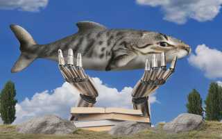 Что Такое Дип Сит и Как Он Работает