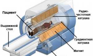 Мрт Что За Процедура и Как Она Проходит
