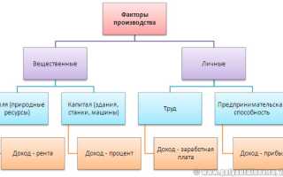 Что Входит В Экономику: Основные Компоненты и Факторы