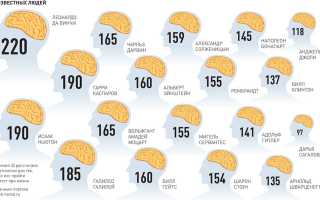 Айкью Что Это Простыми Словами И Пояснениями