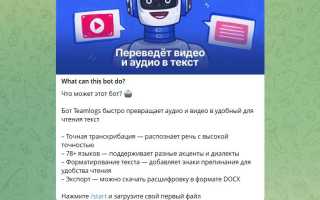 Как Перевести Аудио В Текст В Телеграмме Быстро И Удобно