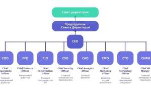 C Level Что Это и Как Это Работает