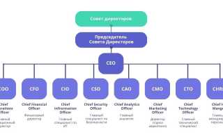C Level Что Это и Как Это Работает