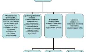 Какие Бывают Терапии В Медицине: Обзор Основных Направлений