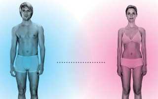 Чей Организм Сложнее Мужской Или Женский: Сравнительный Анализ