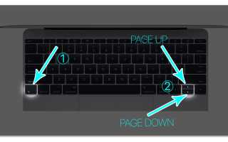 Page Up Что За Кнопка и Как Она Работает