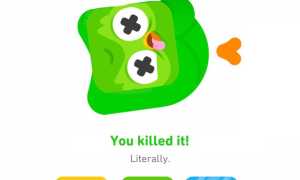 Что Стало С Duolingo В Последнее Время