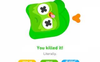 Что Стало С Duolingo В Последнее Время