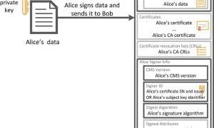 Подпись Pkcs 7: Что Это и Как Использовать