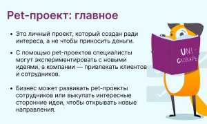 Что Такое Пэт Проект и Как Он Работает