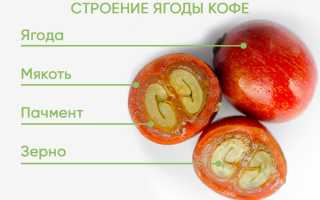 Каскара: Что Это В Кофе Простыми Словами и Как Она Употребляется