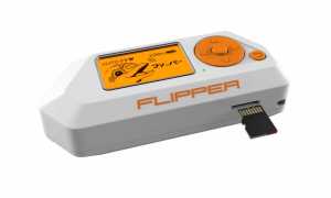 Flipper Что Это Такое и Как Им Пользоваться