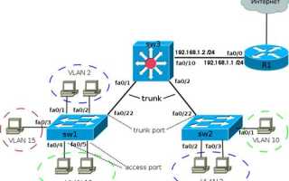Как Прописать Vlan На Cisco На Порт Правильно и Эффективно