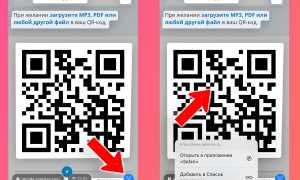 Как Отсканировать Кюар Код На Айфоне Правильно и Быстро