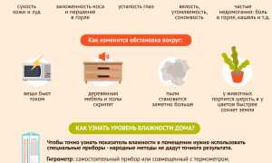 Что Делать Если В Квартире Сухой Воздух Для Комфорта