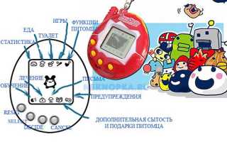 Тамагочи: Это Что Такое и Как Играть