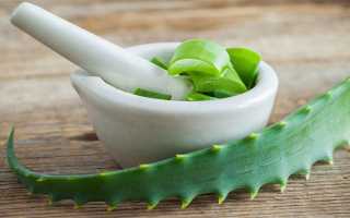 Что Будет Если Съесть Алоэ: Полезные Свойства и Риски