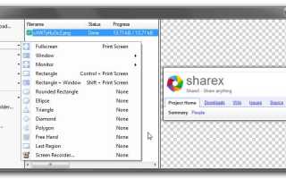 Что Такое Share X и Как Он Работает