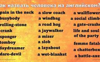 Как Обозвать Человека На Английском Правильно И Уместно
