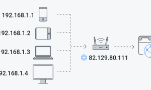Как Определить Белый Или Серый Ip Адрес Правильно