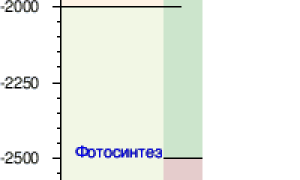 Сколько Лет Жизни На Земле Существовало На Протяжении Эпох