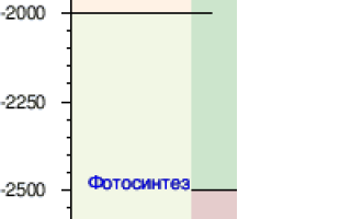 Сколько Лет Жизни На Земле Существовало На Протяжении Эпох
