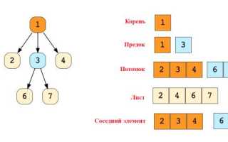 Что Такое Структура В Программировании И Как Она Работает
