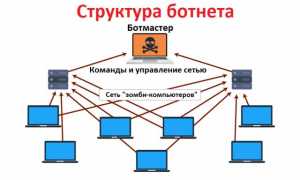 Что Означает Термин Ботнет в Современном Мире