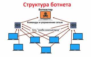 Что Означает Термин Ботнет в Современном Мире