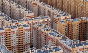 Человейники: Это Что Значит на Современном Языке