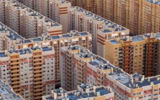 Человейники: Это Что Значит на Современном Языке