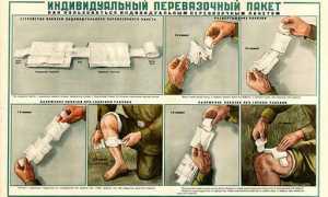 Пак: Что Это Такое и Как Использовать