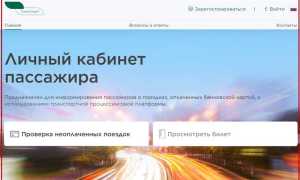 Билет Нспк Что Это и Как Им Пользоваться