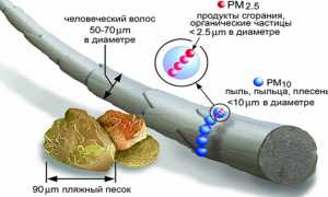 Рм 2 5 Что Это и Как Использовать