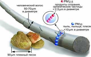 Рм 2 5 Что Это и Как Использовать