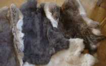 Меховая жилетка своими руками: построение выкройки и пошив изделия