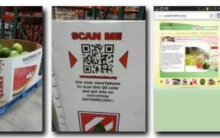 Где Найти Qr Код для Удобства Использования