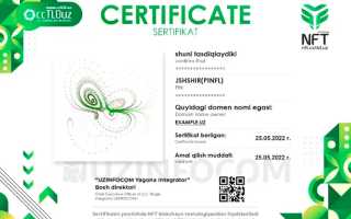Nft Сертификат Что Это и Как Он Работает