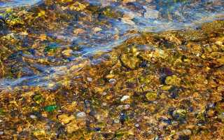 Где Можно Найти Золото В Природе: Полезные Советы