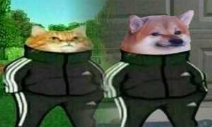 Что Значит Гоп Гоп Гоп Мем В Культуре