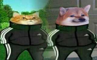 Что Значит Гоп Гоп Гоп Мем В Культуре