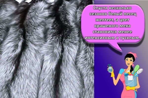 мех пессца